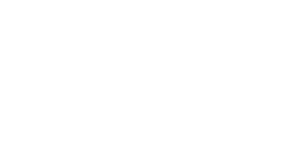 Newton